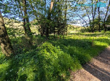 pxl-20250429-132245631.jpg | Prodej - pozemek pro bydlení, 770 m²