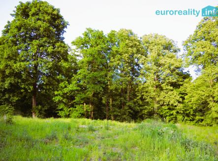 Prodej - pozemek, zahrada, 3 600 m² obrázek