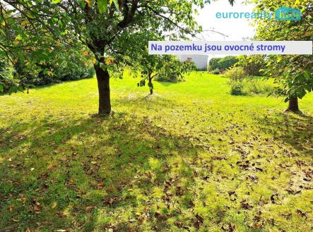 c2aeb35f-e38a-4459-b829-bbf9712c8a23.jpg | Prodej - pozemek pro bydlení, 1 434 m²