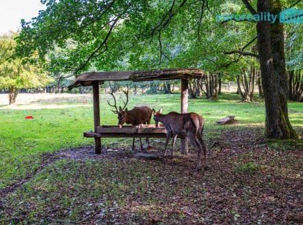 dsc-3199.jpg | Prodej - pozemek pro komerční výstavbu, 86 573 m²