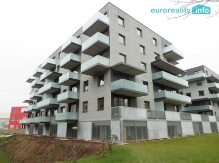 80-1.jpg | Pronájem bytu, 1+kk, 45 m²