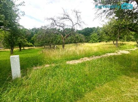 p-20240710-133454.jpg | Prodej - pozemek pro bydlení, 4 920 m²