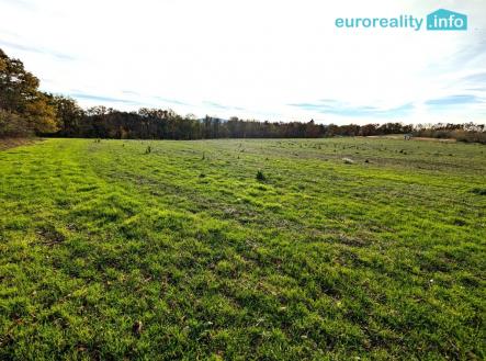 pxl-20241031-133823985.jpg | Prodej - pozemek pro bydlení, 3 986 m²