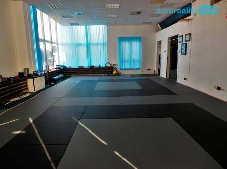 2.jpg | Pronájem - obchodní prostor, 347 m²
