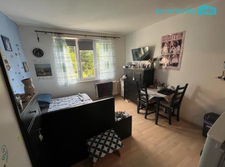 snimek-obrazovky-2026-06-24-v-20.08.59.png | Prodej bytu, 1+kk, 21 m²