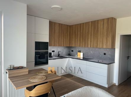 90103cfa-4f7f-4e9a-960f-edc22815d97c | Pronájem bytu, 1+kk, 45 m²