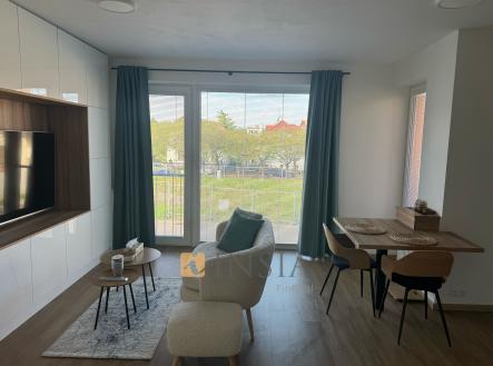 0b30a931-8f4a-4677-8f06-629fd5d1b507 | Pronájem bytu, 1+kk, 45 m²