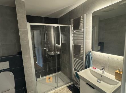 fc5bbf34-4944-435a-86a8-4428c4997a1e | Pronájem bytu, 1+kk, 45 m²