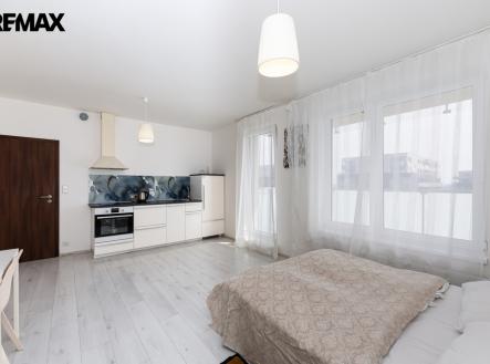 13.jpg | Pronájem bytu, 1+kk, 38 m²