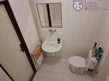 koupelna.jpg | Pronájem bytu, 1+1, 33 m²