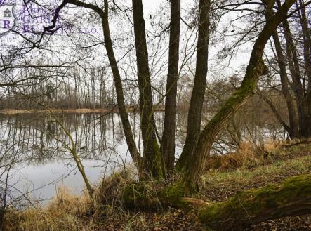 dsc-0043-1.jpg | Prodej - pozemek, ostatní, 26 509 m²