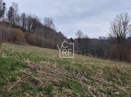 1000043810.jpg | Prodej - pozemek pro bydlení, 4 647 m²