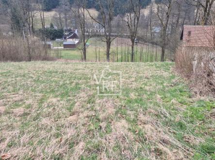 1000043806.jpg | Prodej - pozemek pro bydlení, 4 647 m²