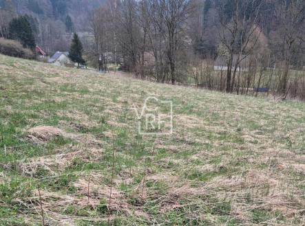 1000043807.jpg | Prodej - pozemek pro bydlení, 4 647 m²