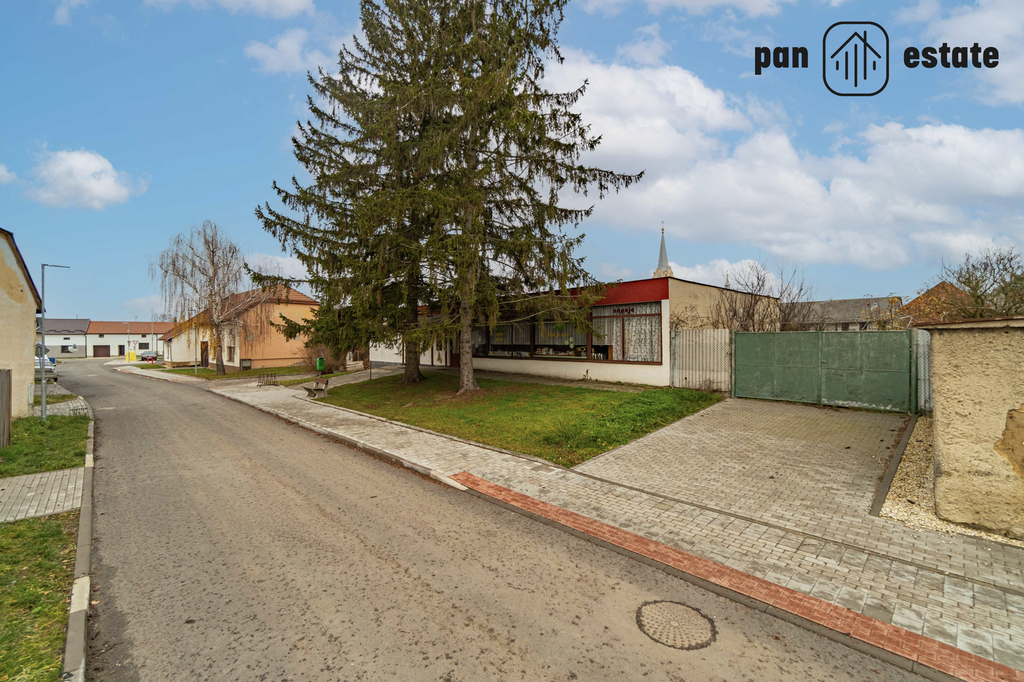 31e.jpg