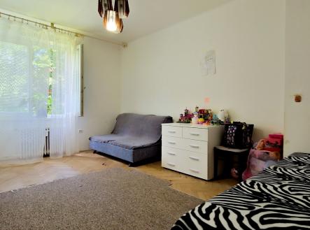1000087529.jpg | Pronájem bytu, 2+1, 55 m²