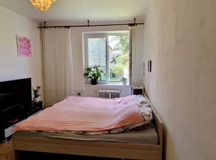 1000087537.jpg | Pronájem bytu, 2+1, 55 m²