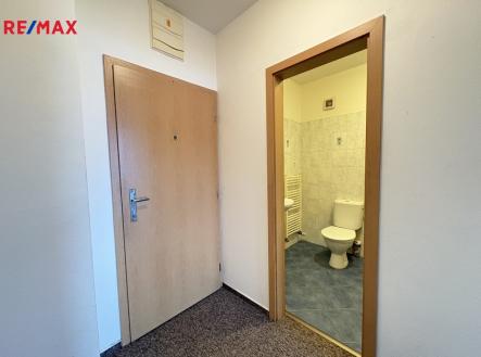 img-8166.jpg | Pronájem bytu, 1+kk, 25 m²