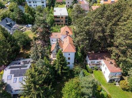 Prodej - dům/vila, 513 m² obrázek