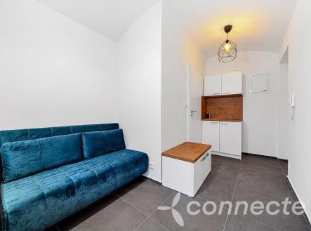 (18) Kancl Hejtmánkova-10.JPG | Prodej bytu, 1+kk, 16 m²