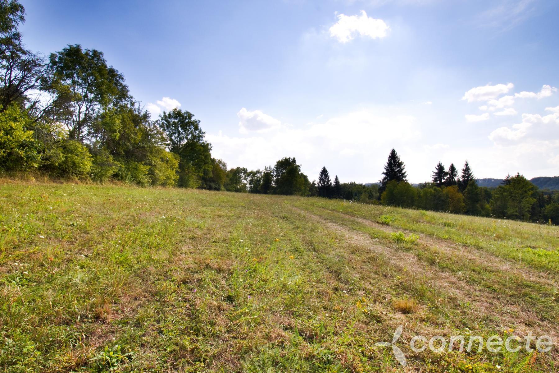 Louka u Sázavy na prodej (9).jpg