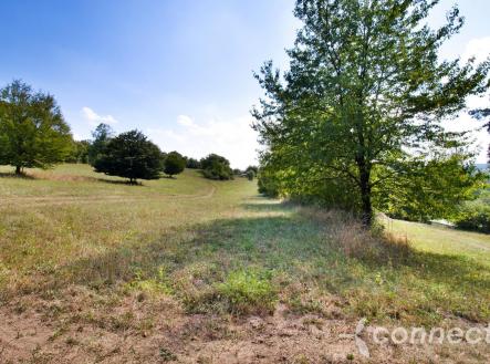 Louka u Sázavy na prodej (8).jpg | Prodej - pozemek, trvalý travní porost, 14 836 m²