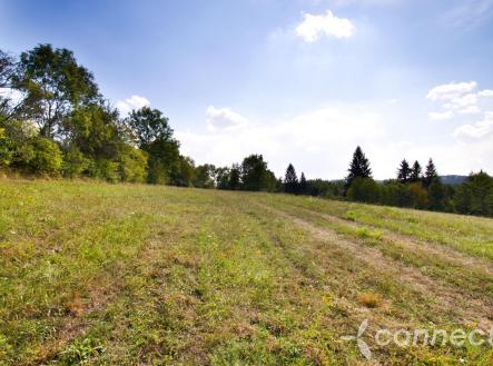 Louka u Sázavy na prodej (9).jpg | Prodej - pozemek, trvalý travní porost, 14 836 m²