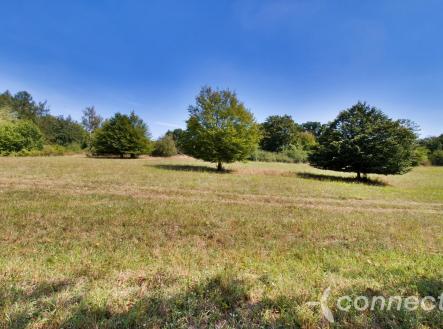 Louka u Sázavy na prodej (10).jpg | Prodej - pozemek, trvalý travní porost, 14 836 m²