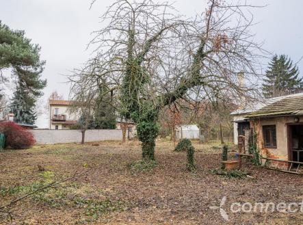 Kbely_Pozemek_Connete_Baseley-12.JPG | Prodej - pozemek pro bydlení, 895 m²