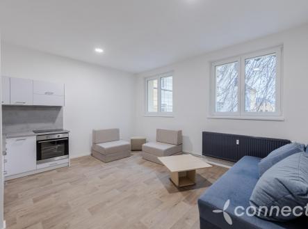 0Q9A2402-HDR.jpg | Pronájem bytu, 1+kk, 30 m²