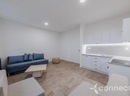 0Q9A2408-HDR.jpg | Pronájem bytu, 1+kk, 30 m²