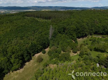 DJI_20260528134255_0022_D.jpg | Prodej - pozemek, trvalý travní porost, 3 131 m²