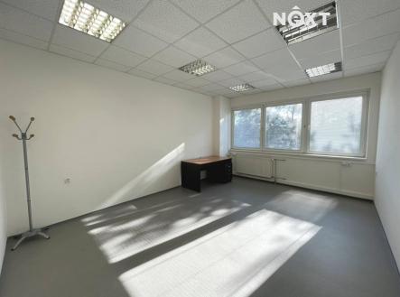 Pronájem - kanceláře, 20 m²