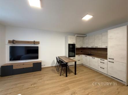 . | Pronájem bytu, 1+kk, 40 m²