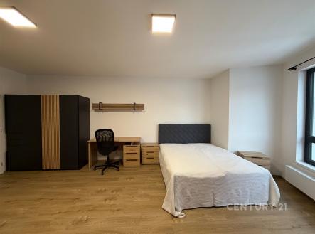 . | Pronájem bytu, 1+kk, 40 m²