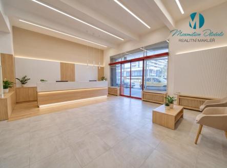 vizualizace-2.1.jpg | Pronájem - obchodní prostor, 250 m²