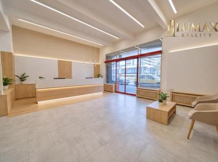 vizualizace-2.1.jpg | Pronájem - obchodní prostor, 250 m²