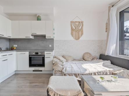 . | Pronájem bytu, 1+kk, 3 467 m²