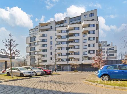 . | Pronájem bytu, 1+kk, 3 467 m²