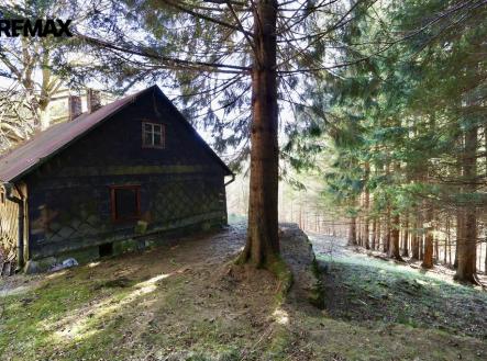 img-0425.jpg | Prodej - pozemek pro bydlení, 7 880 m²