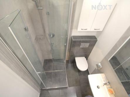 Pronájem bytu, 3+kk, 67 m²