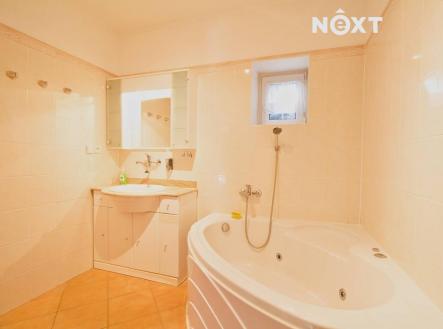 Pronájem - dům/vila, 240 m²