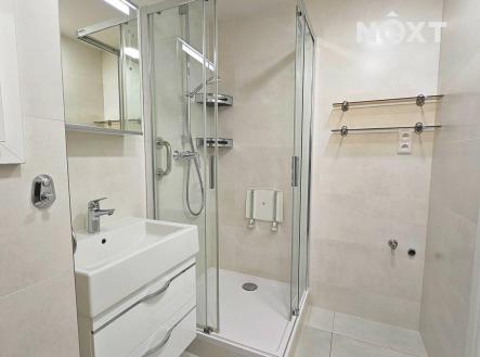 Pronájem bytu, 3+1, 55 m²