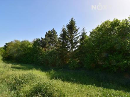 Prodej - pozemek, zemědělská půda, 7 326 m²