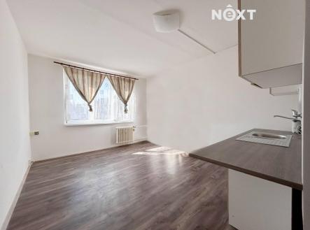 Pronájem bytu, 1+kk, 20 m²