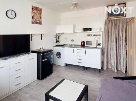 Pronájem bytu, 1+kk, 19 m²