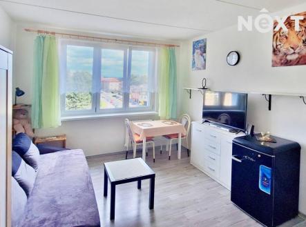 Pronájem bytu, 1+kk, 19 m²