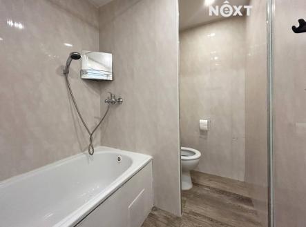 Pronájem bytu, 1+1, 38 m²