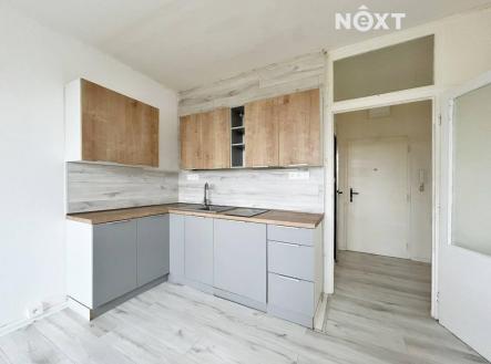 Pronájem bytu, 1+kk, 20 m²