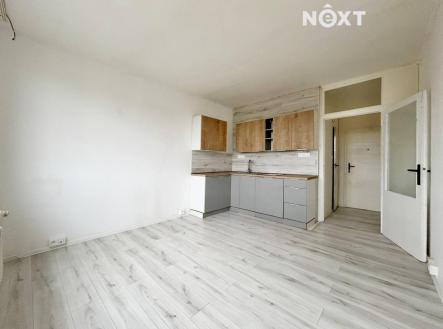 Pronájem bytu, 1+kk, 20 m²
